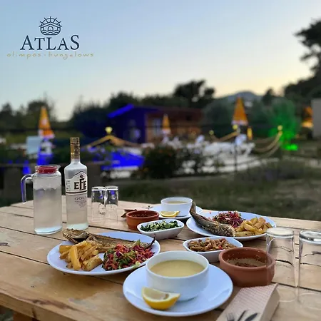 홈스테이 Atlas