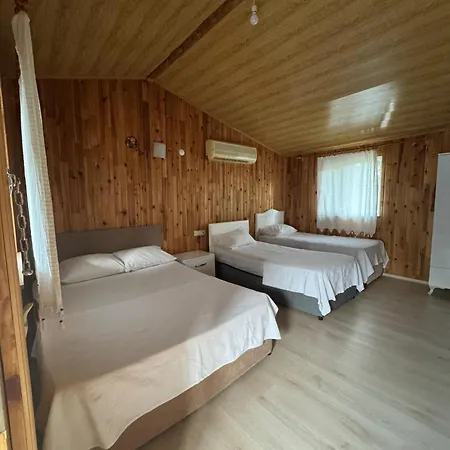 Atlas Homestay *