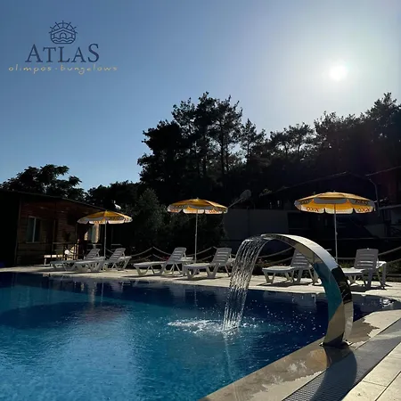 Atlas Homestay *