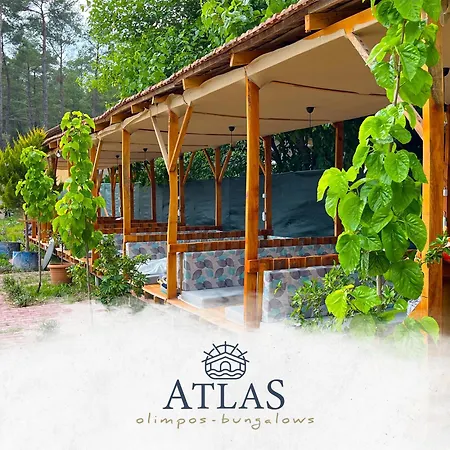 Atlas