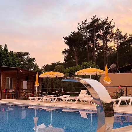 Atlas Homestay